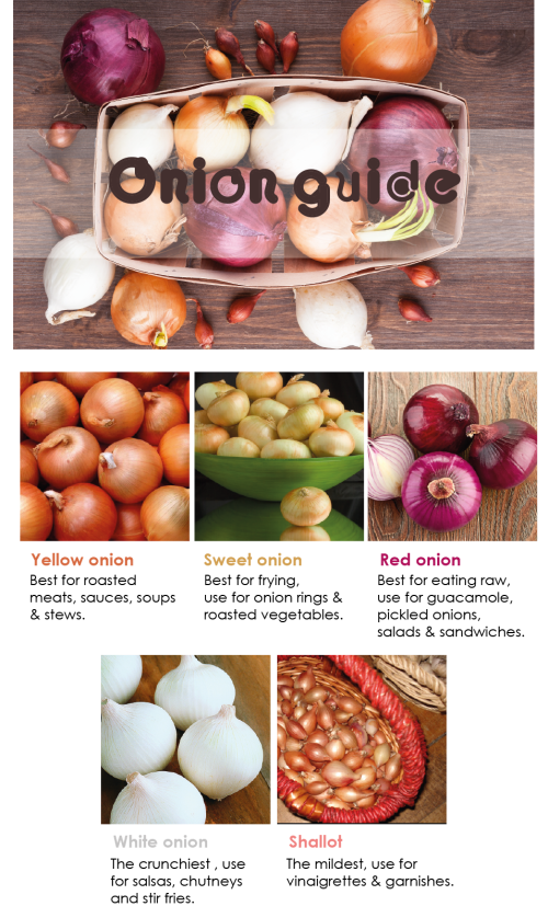 onion guide