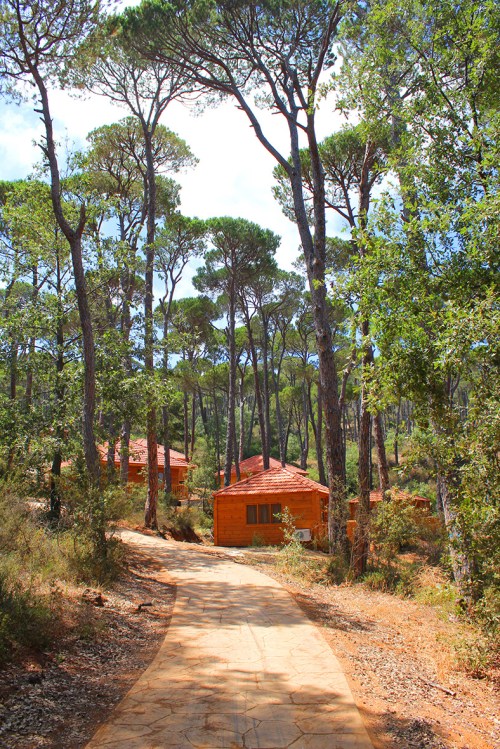 la maison de la foret