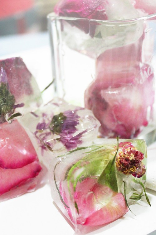 floral ice cubes