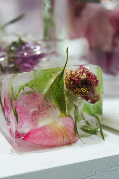 floral ice cubes