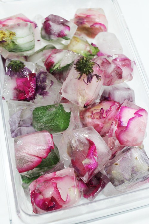 floral ice cubes
