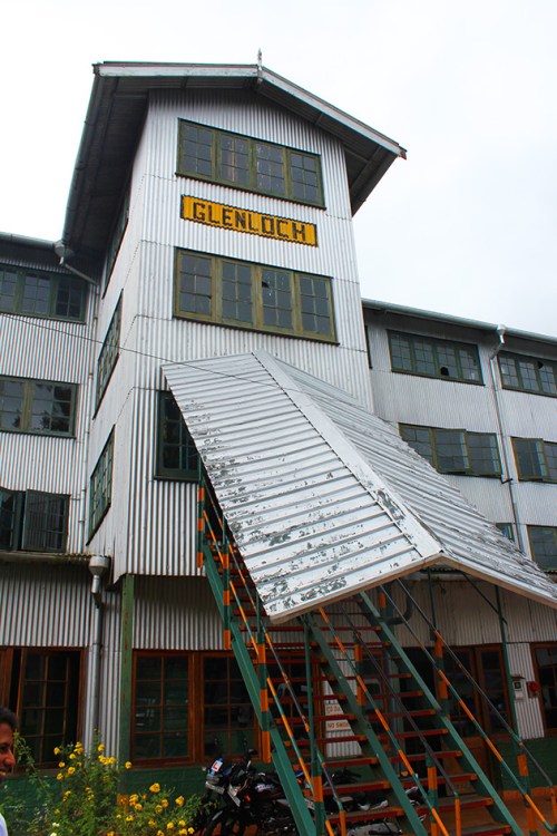glenloch tea factory