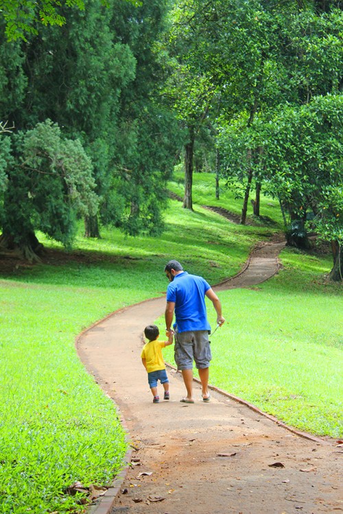 royal botanical gardens Peradeniya