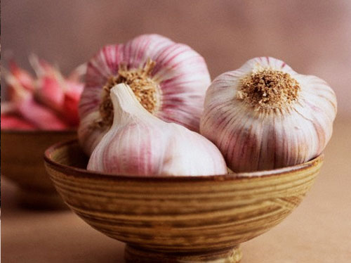 garlic