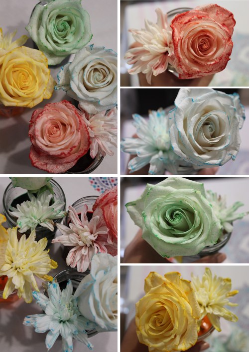 Color changing flowers experiment