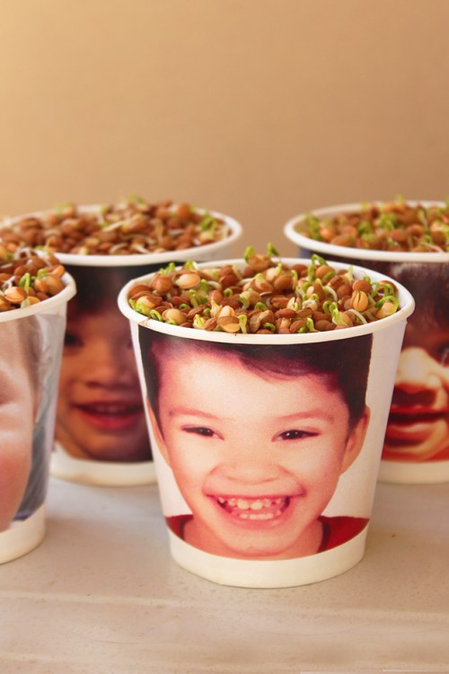 planting seeds on st barbara day