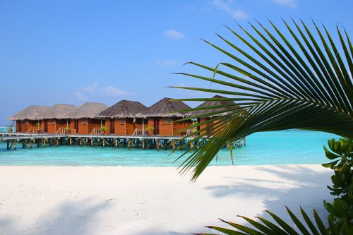 maldives 14