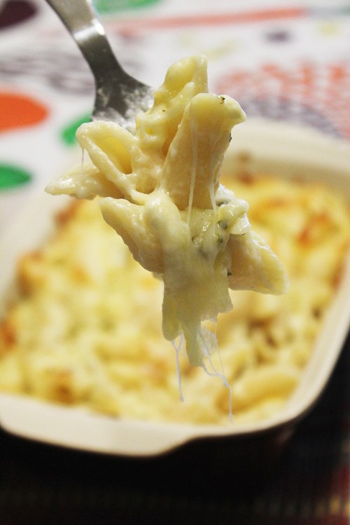 penne with three cheese and white wine 4
